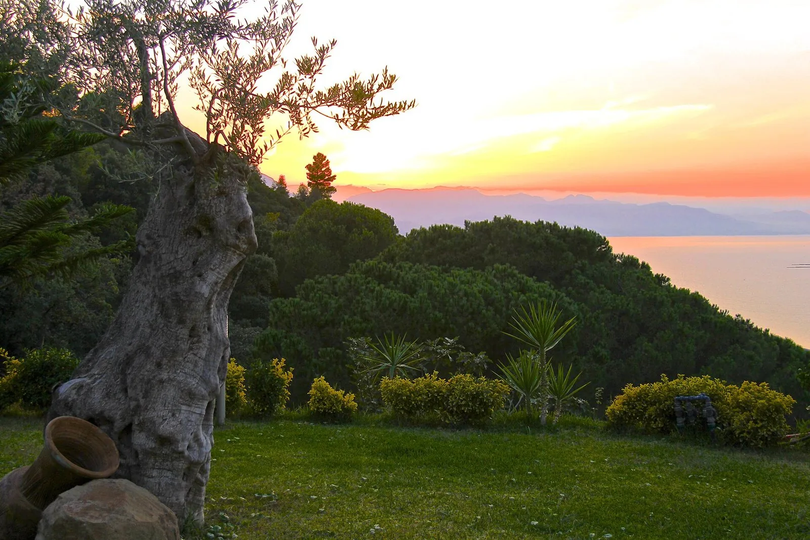 Il Giardino di Ciccio, 
